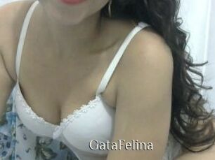 GataFelina