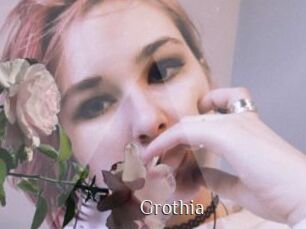 Grothia