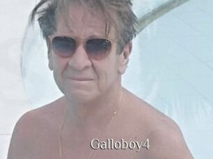 Galloboy4