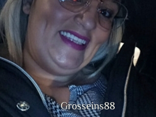 Grosseins88