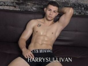 HARRYSULLIVAN