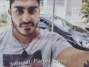 Harold_horny