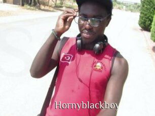 Hornyblackboy