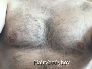 Hairybodyboy