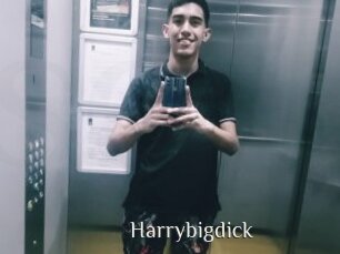 Harrybigdick