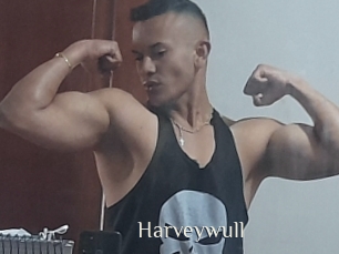 Harveywull