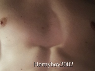 Hornyboy2002