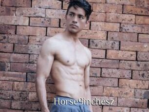 Horse9inchesz
