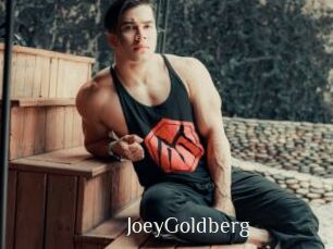 JoeyGoldberg