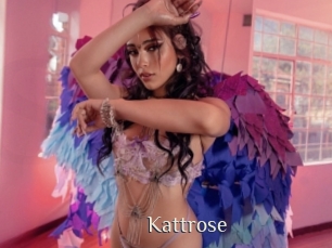 Kattrose