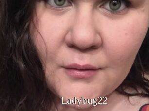 Ladybug22