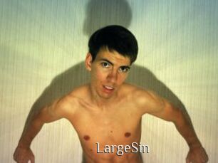 LargeSin