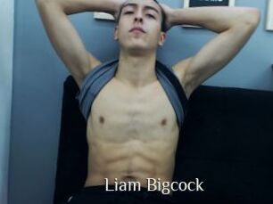 Liam_Bigcock