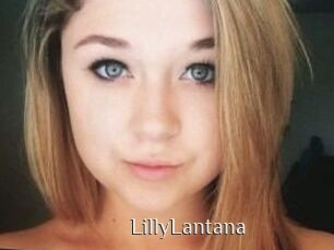 LillyLantana