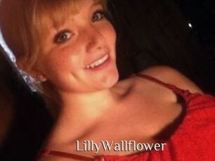 LillyWallflower