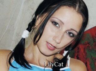 Lily_Cat_