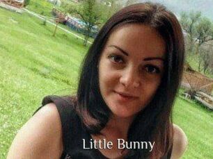 Little_Bunny_