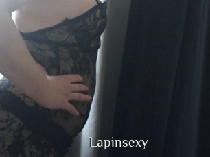 Lapinsexy