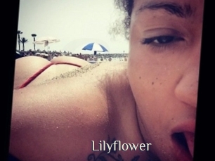 Lilyflower