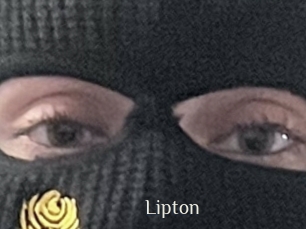 Lipton