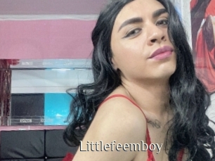 Littlefeemboy