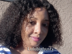 Lulubigbusty