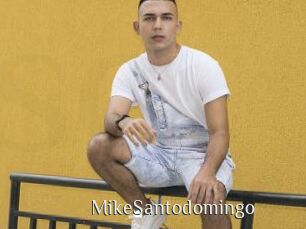 MikeSantodomingo