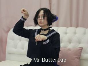 Mr_Buttercup