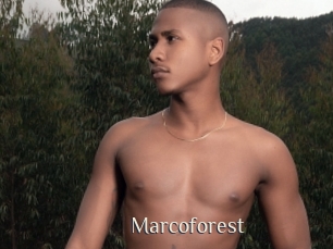 Marcoforest