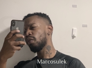 Marcosulek