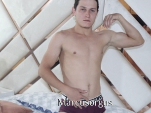 Marcusorgus