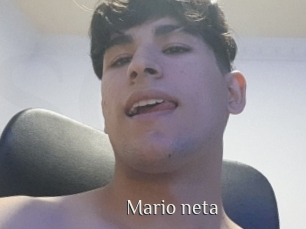 Mario_neta