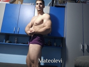 Mateolevi