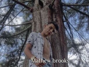 Mathew_brooks