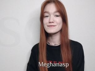 Meghanasp