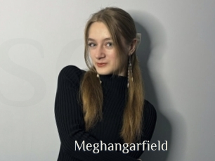 Meghangarfield