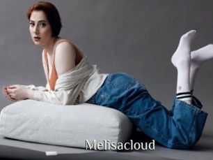 Melisacloud