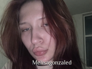 Melisagonzaled