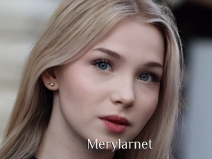 Merylarnet