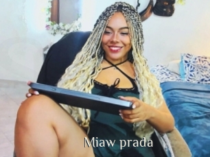 Miaw_prada