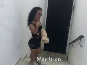 Mini_trans