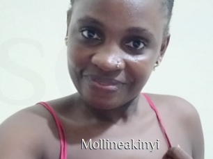 Mollineakinyi