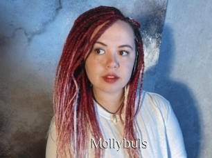 Mollybuls