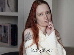 Mollysiber