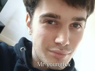 Mr_youngfox