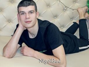 NigelBud