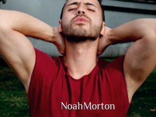 NoahMorton