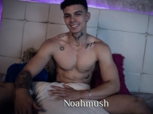 Noahmush