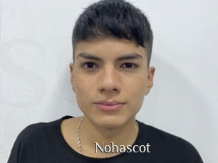 Nohascot