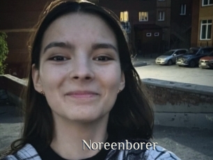 Noreenborer